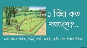 বিঘা কাঠার সূত্রাবলী