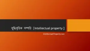 বুদ্ধিবৃত্তিক সম্পত্তি [ Intellectual property ]